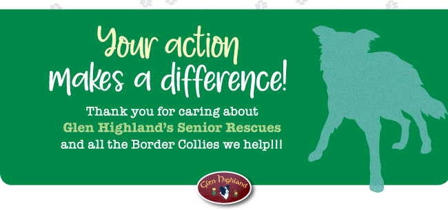 YOUR ACTION MAKES A DIFFERENCE... THANK YOU!